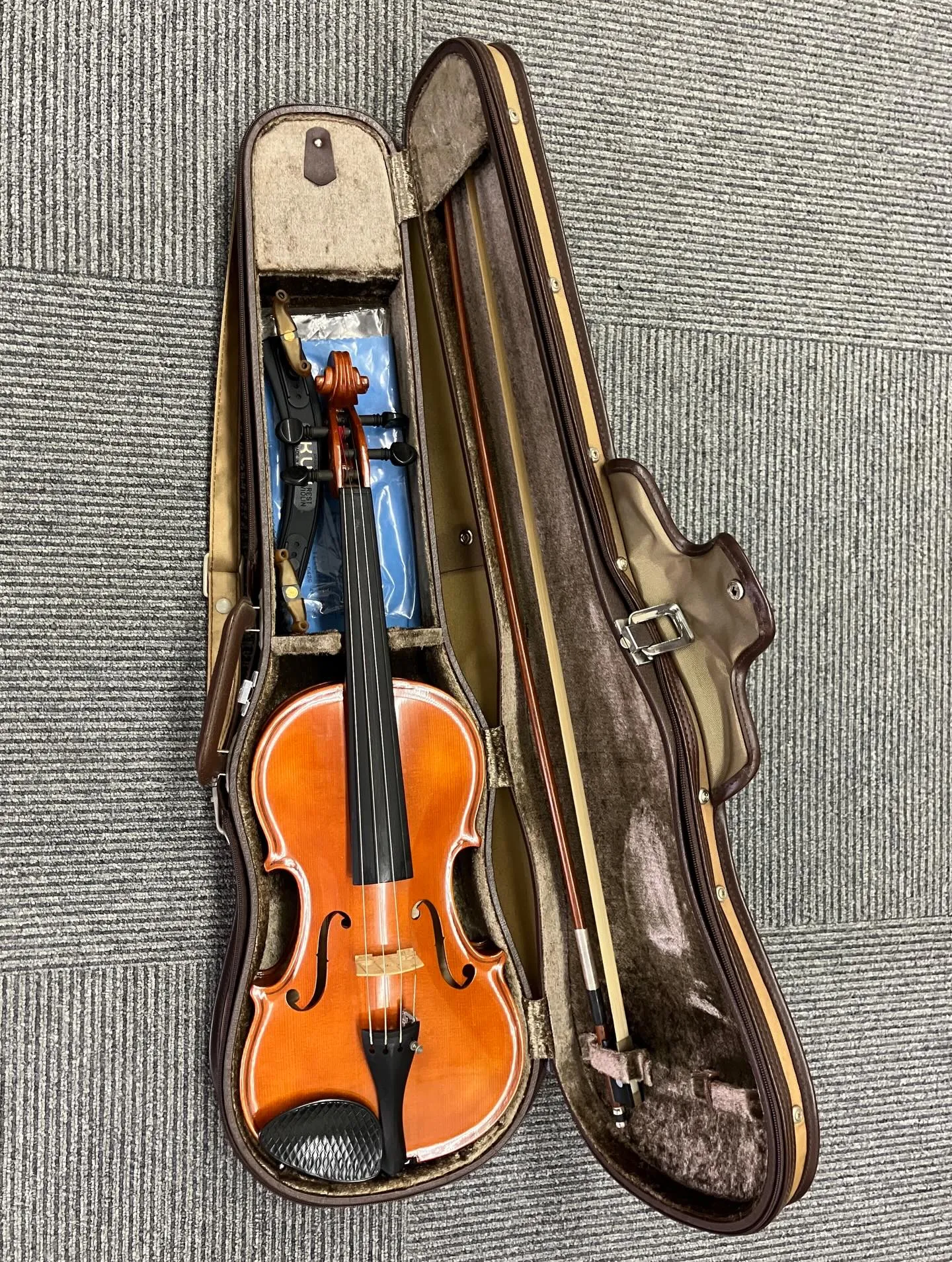 おはようございます🐤